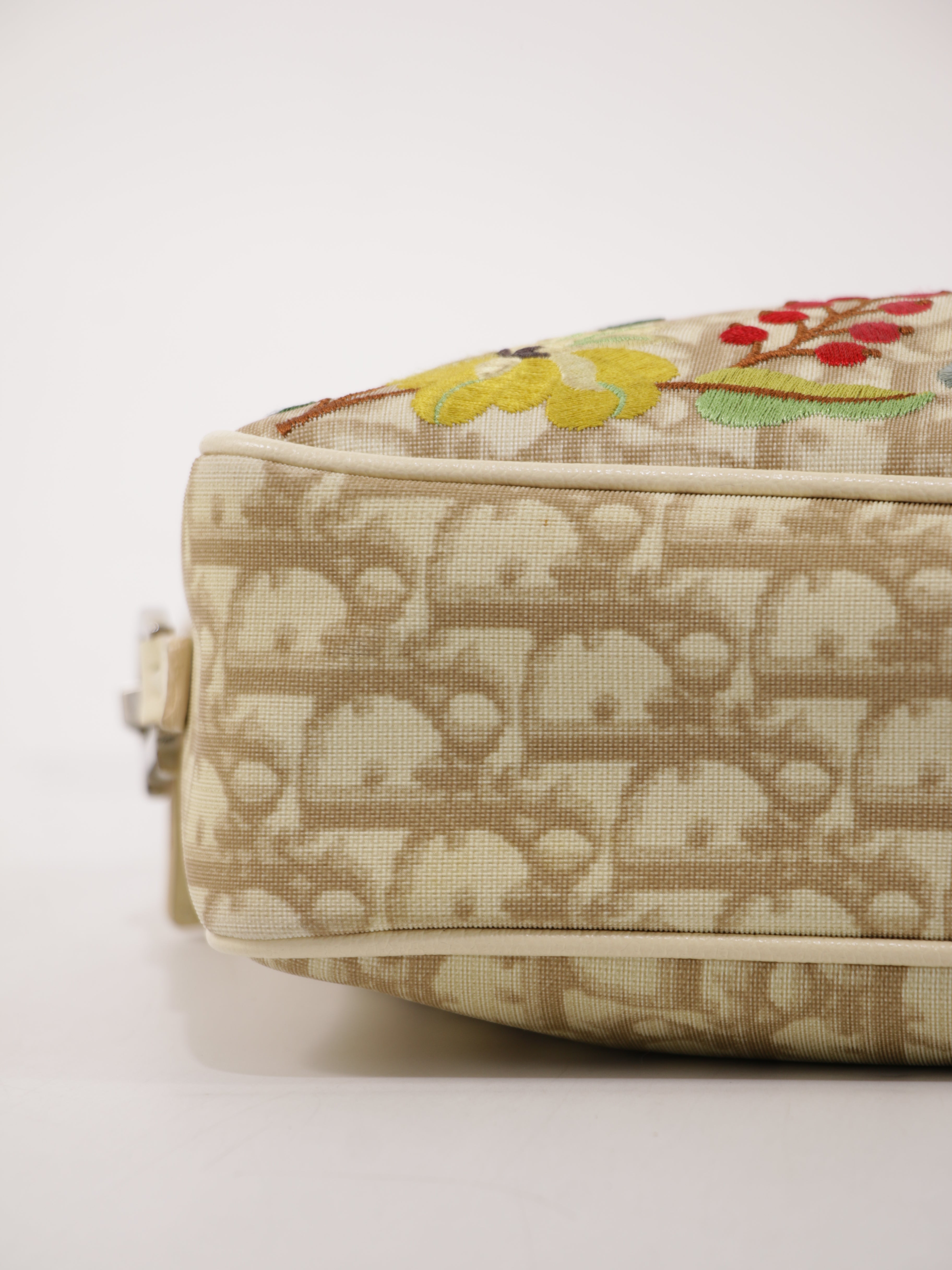 Christian Dior Crossbody Bag