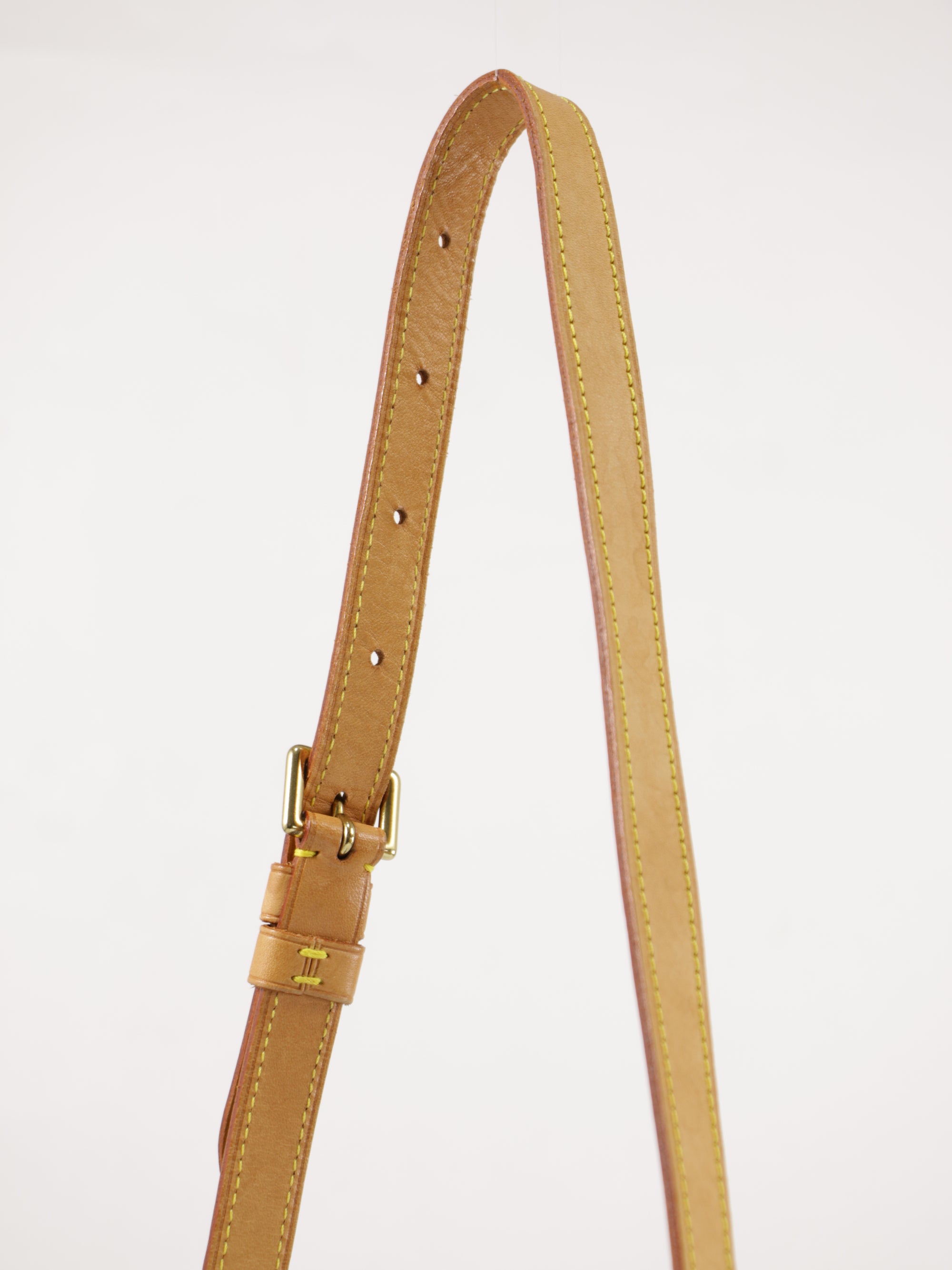 Musette Salsa
