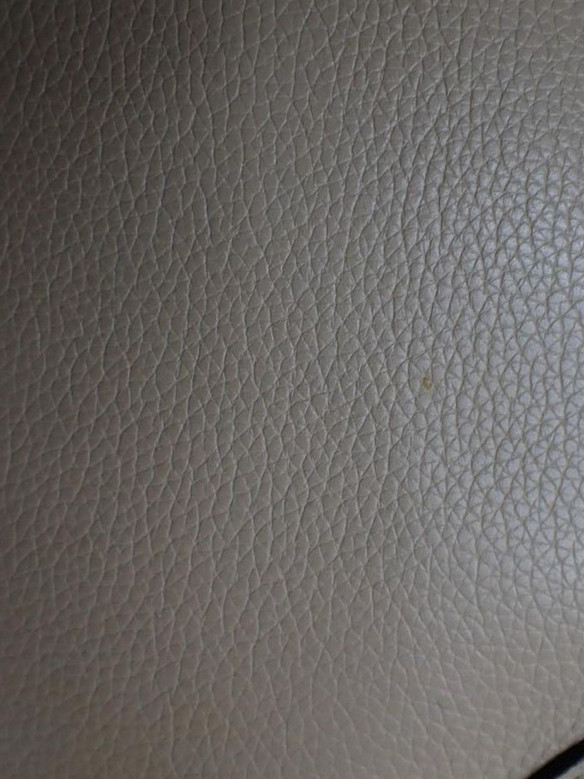 Medium Luggage