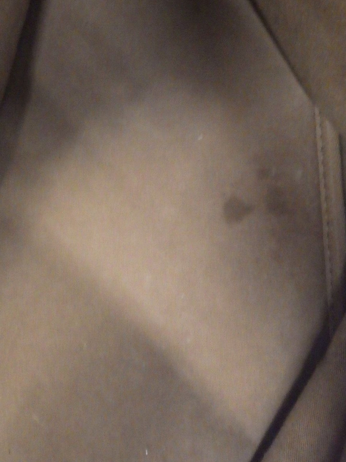 Petit Noé