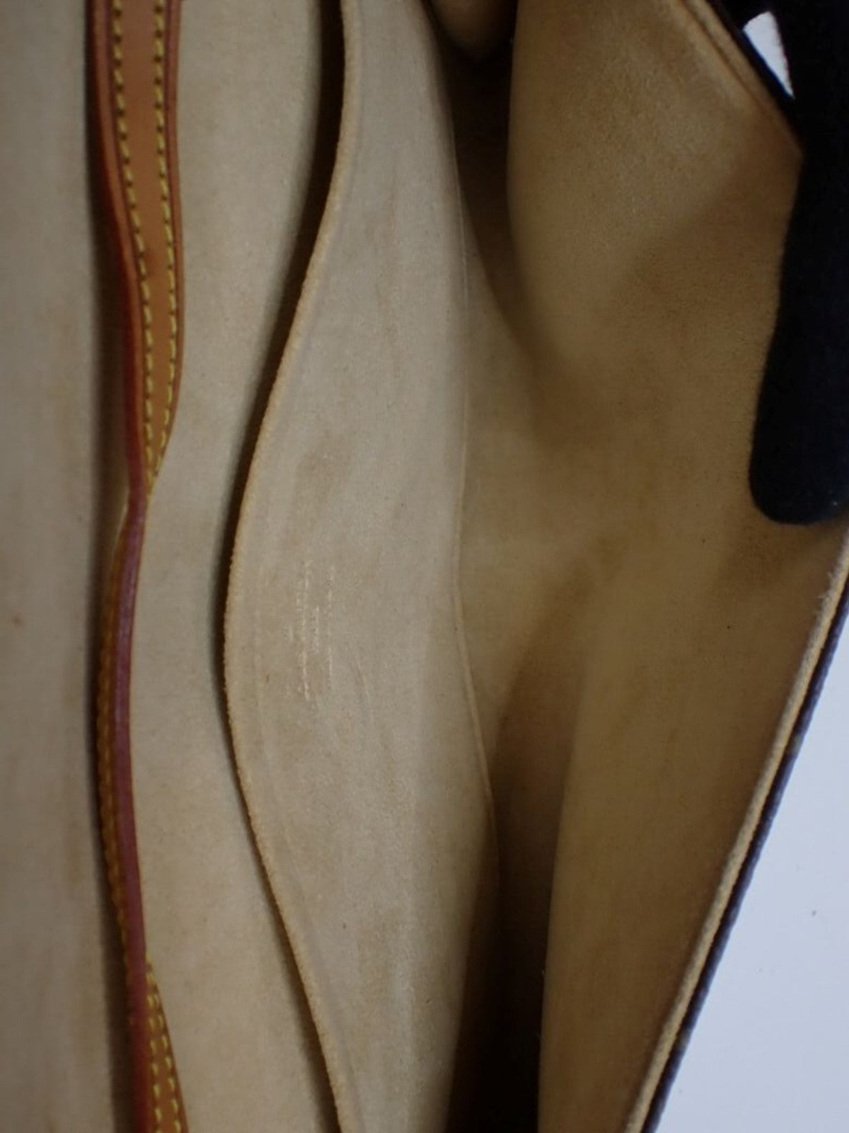 Louis Vuitton Pochette Twin GM