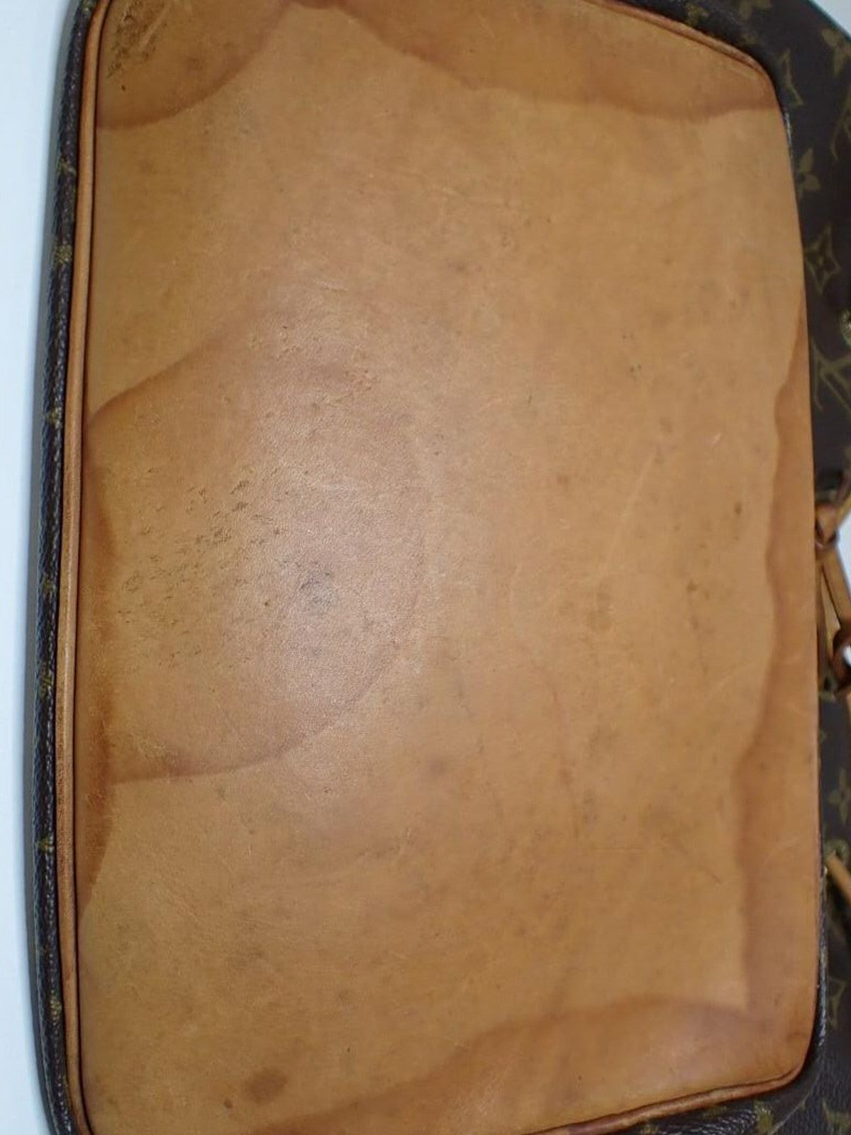 Petit Noé