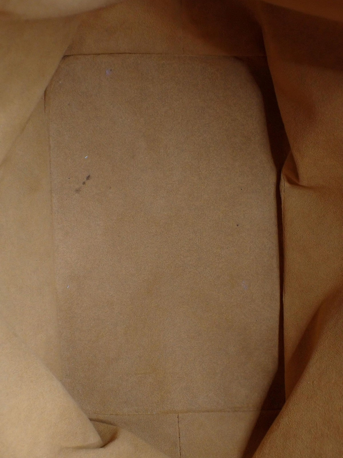 Petit Noé