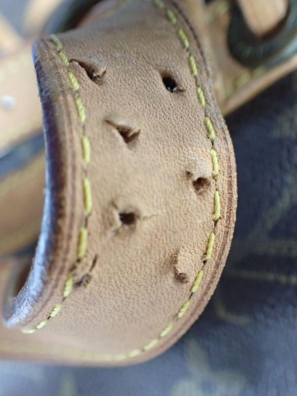 Louis Vuitton Petit Noé