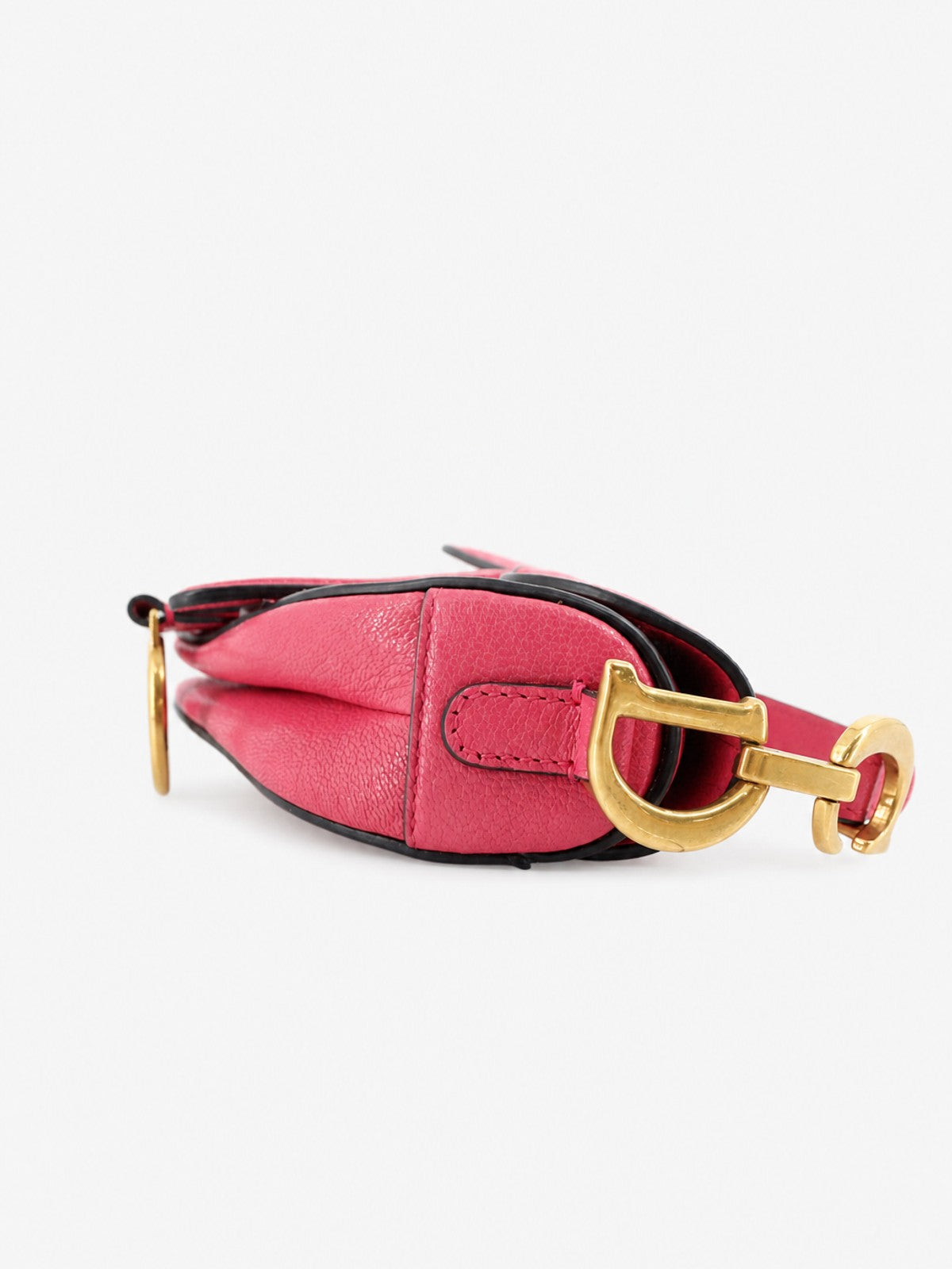 Christian Dior Micro Saddle