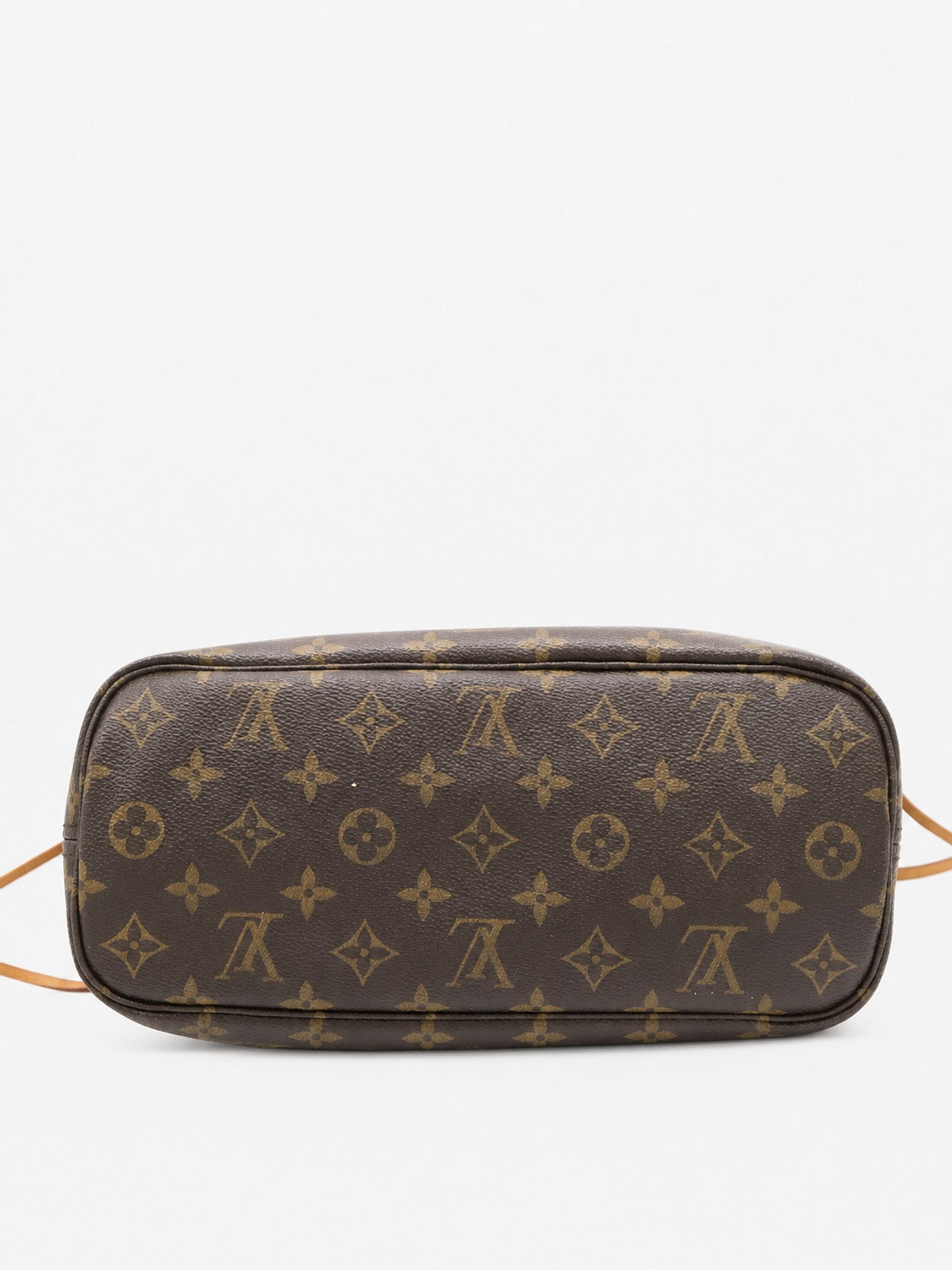 Louis Vuitton Neverfull PM