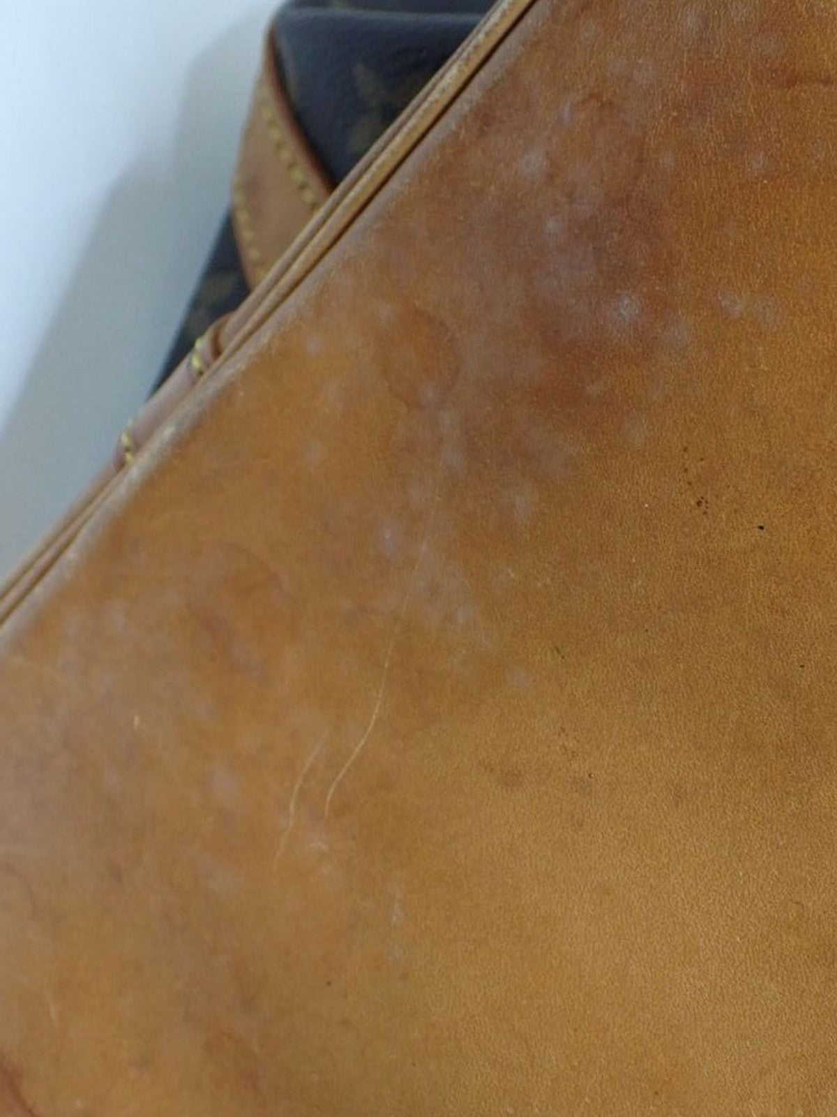 Louis Vuitton Noé