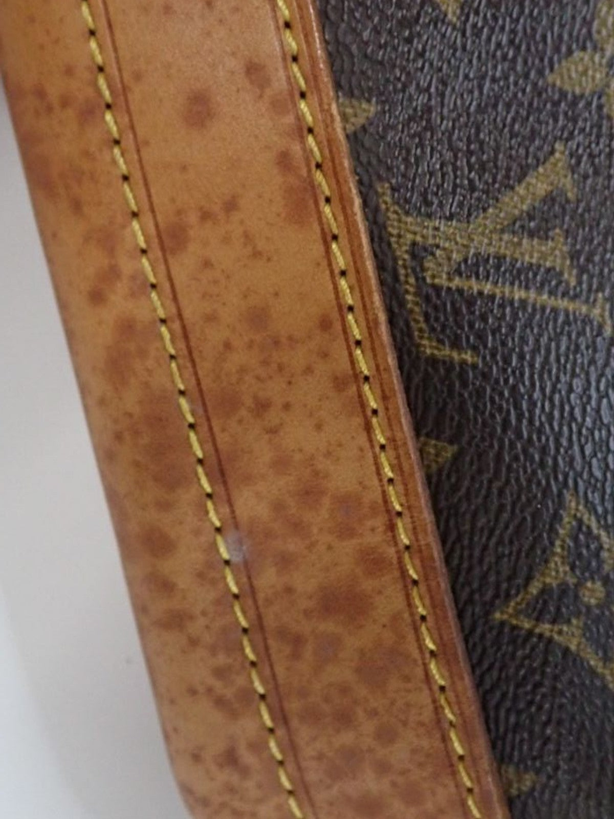 Louis Vuitton Noé