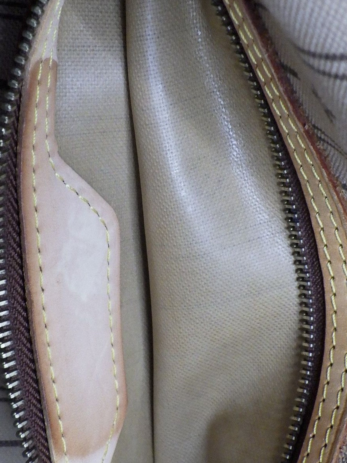 Louis Vuitton Neverfull PM