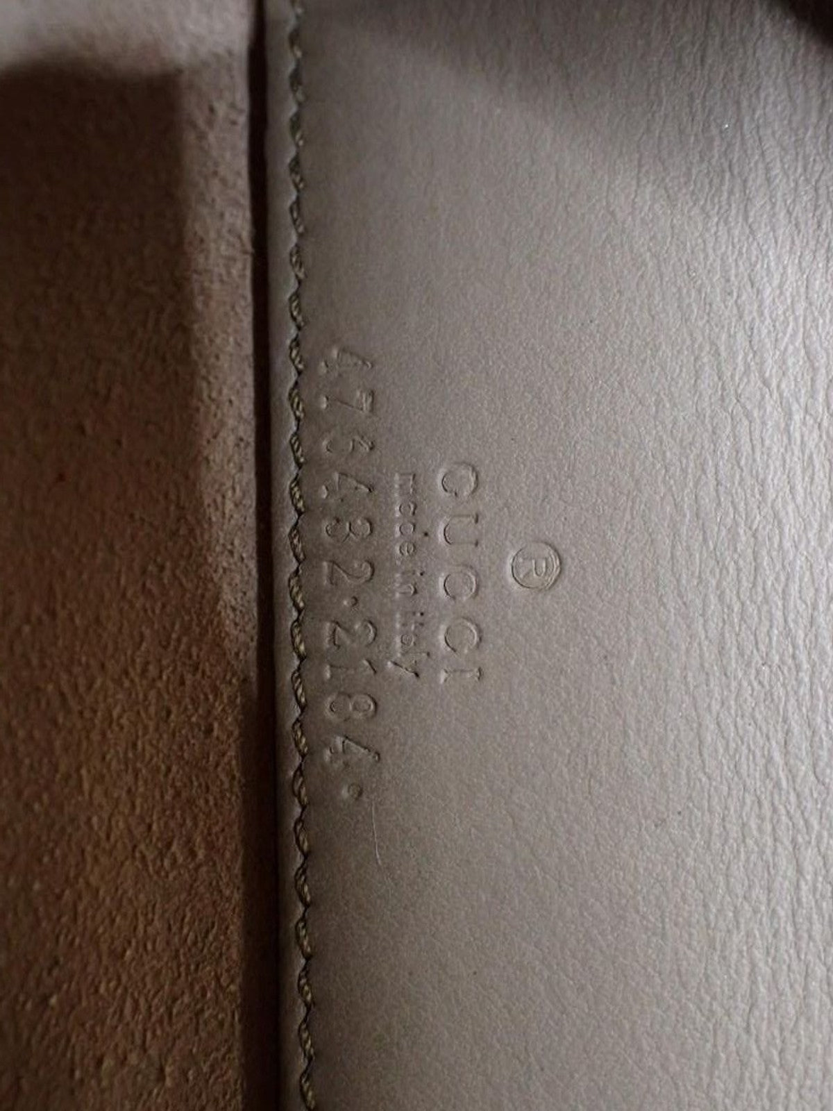 Gucci Dionysus Mini GG