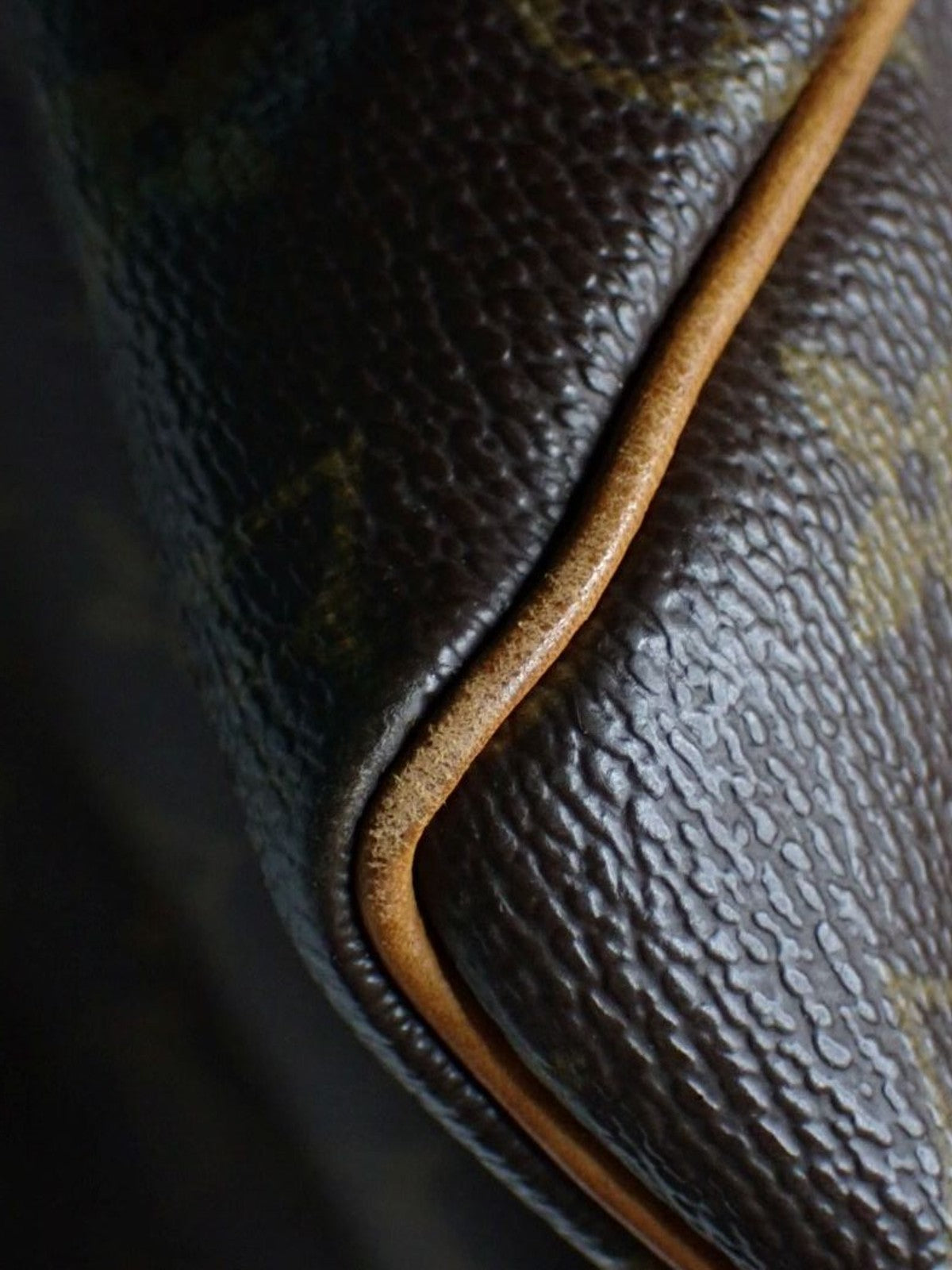 Louis Vuitton Speedy 25