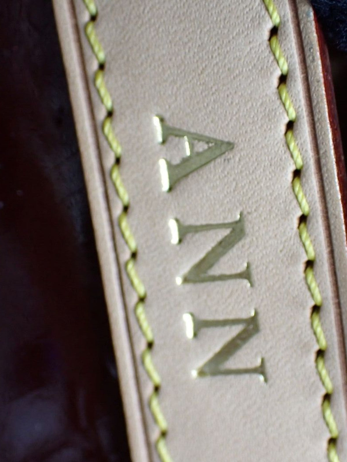 Louis Vuitton Hand Bag