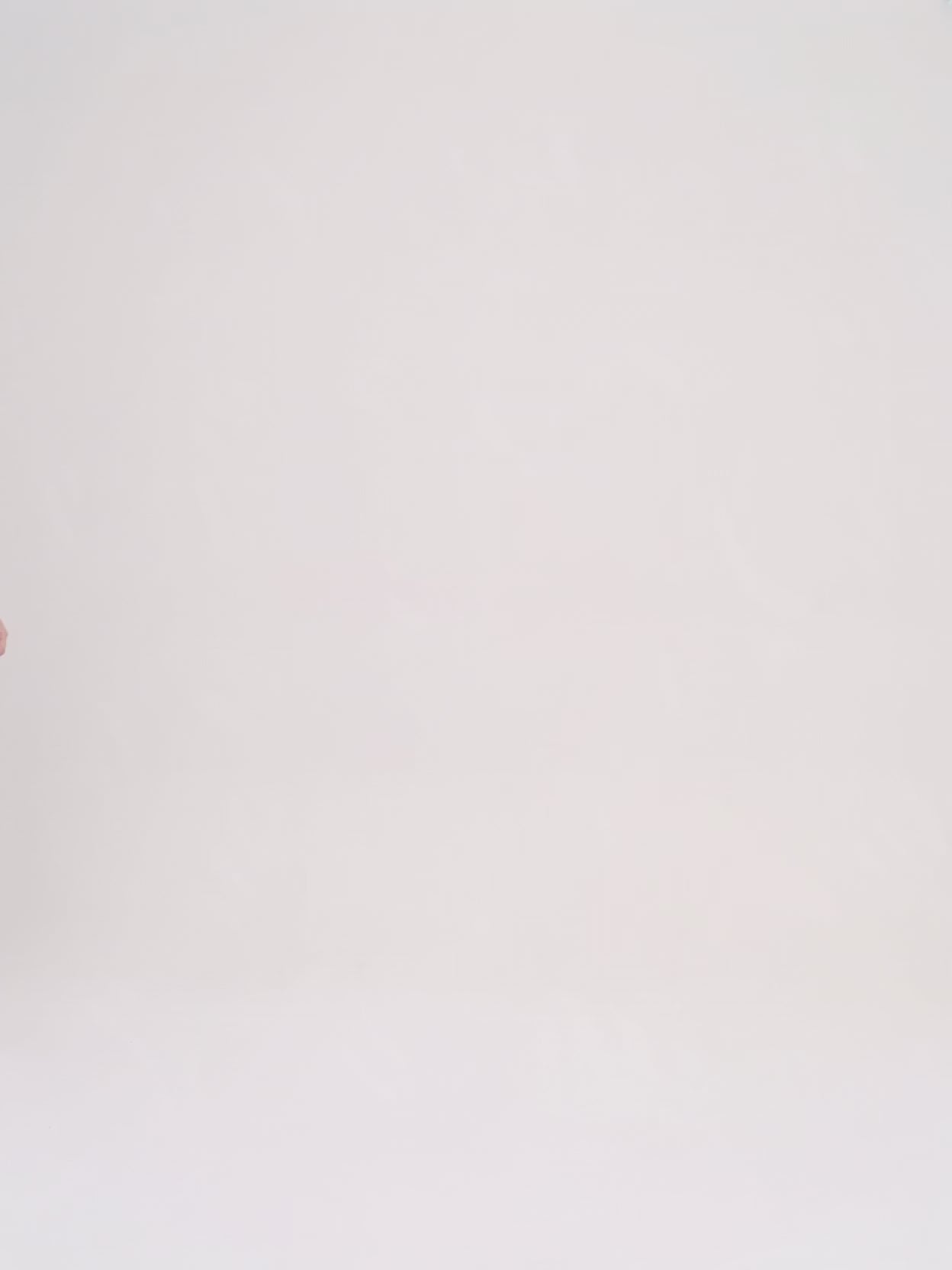 Carica video: Balenciaga - Velo